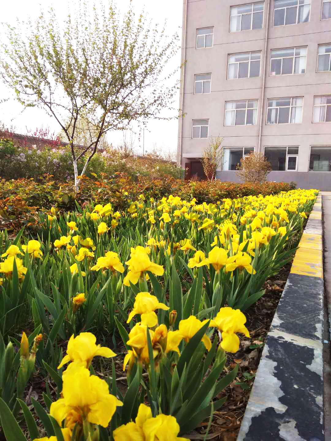 綠色花園工廠(圖2)