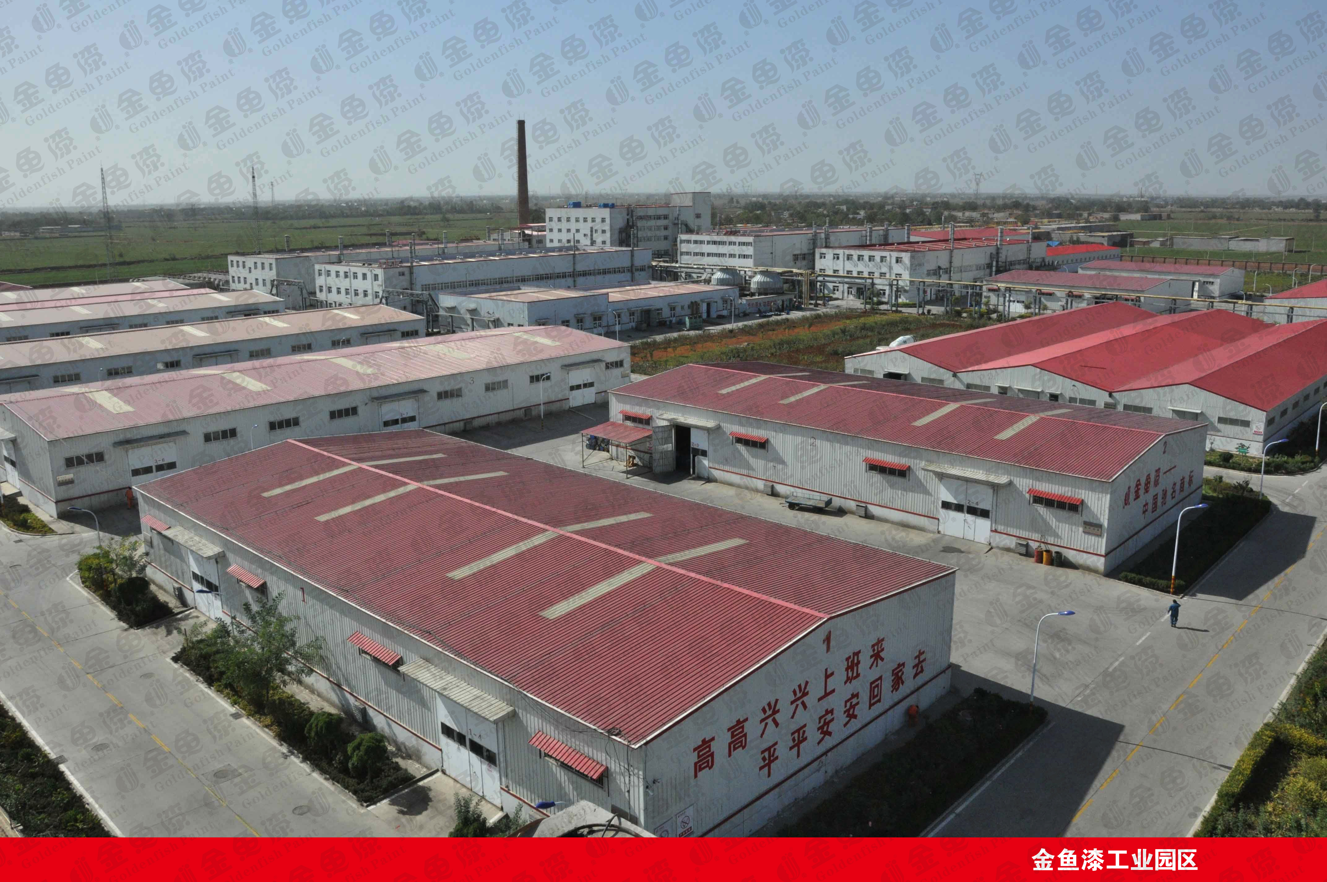 關(guān)于金魚(圖2)